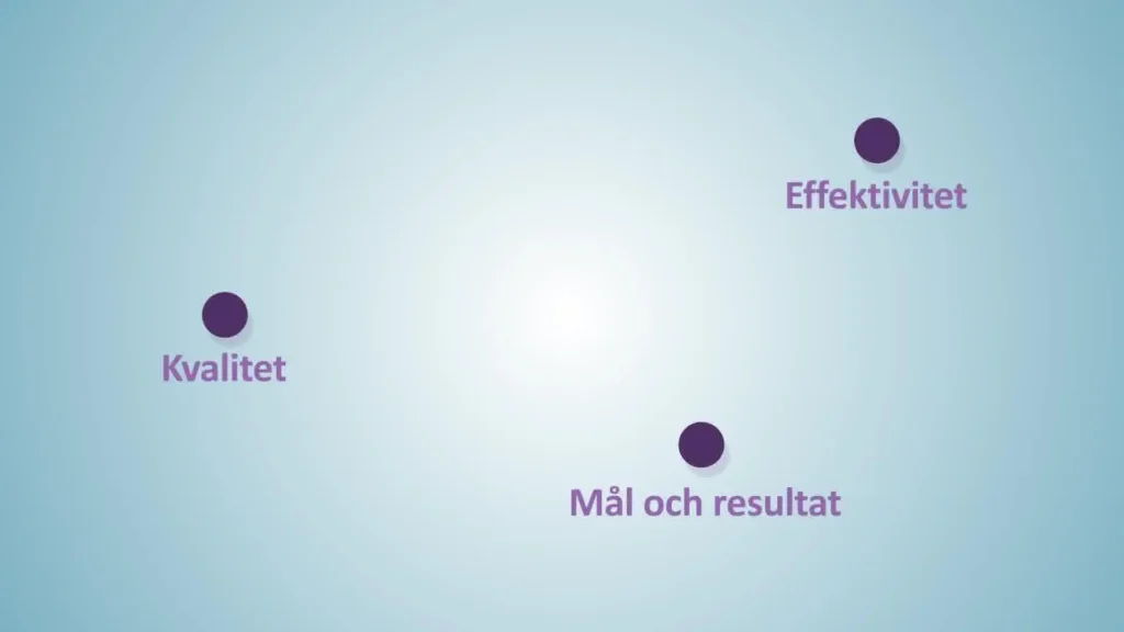 SUMETO Arbetsmarknad - Effektivitet, kvalitet, mål och resultat