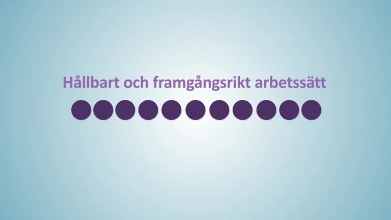 SUMETO Arbetsmarknad - Hållbart och framgångsrikt arbetssätt