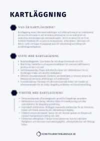 SUMETO Arbetsmarknad - Kartläggningsmall